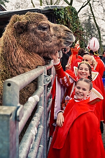 Zoo Duisburg 2026-01-29 12  Ene Besuch em Zoo - Der Zoobesuch ist eine schöne Tradition für die amtierenden Tollitäten der Stadt. Diesmal  besuchten wir außer Kamel, Koala, Delphin und Co. auch die Zebras, wenn auch nicht Blau-Weiß gestreift. : DVPJ, Toni I, Jules I., Prinz Karneval, Prinz, Prinzessin Aileen I., Hofmarschälle, Page, Pagen, Paginnen, HDK, Duisburg, Karneval, Helau, Tollität, Event, Session 2025, Session 2025, HDK Duisburg, Hauptausschuss, Hauptausschuss Karneval Duisburg, Duisburg ist echt