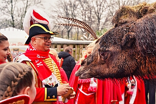 Zoo Duisburg 2026-01-29 14  Ene Besuch em Zoo - Der Zoobesuch ist eine schöne Tradition für die amtierenden Tollitäten der Stadt. Diesmal  besuchten wir außer Kamel, Koala, Delphin und Co. auch die Zebras, wenn auch nicht Blau-Weiß gestreift. : DVPJ, Toni I, Jules I., Prinz Karneval, Prinz, Prinzessin Aileen I., Hofmarschälle, Page, Pagen, Paginnen, HDK, Duisburg, Karneval, Helau, Tollität, Event, Session 2025, Session 2025, HDK Duisburg, Hauptausschuss, Hauptausschuss Karneval Duisburg, Duisburg ist echt
