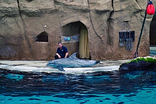 Zoo Duisburg 2026-01-29 22  Ene Besuch em Zoo - Der Zoobesuch ist eine schöne Tradition für die amtierenden Tollitäten der Stadt. Diesmal  besuchten wir außer Kamel, Koala, Delphin und Co. auch die Zebras, wenn auch nicht Blau-Weiß gestreift. : DVPJ, Toni I, Jules I., Prinz Karneval, Prinz, Prinzessin Aileen I., Hofmarschälle, Page, Pagen, Paginnen, HDK, Duisburg, Karneval, Helau, Tollität, Event, Session 2025, Session 2025, HDK Duisburg, Hauptausschuss, Hauptausschuss Karneval Duisburg, Duisburg ist echt