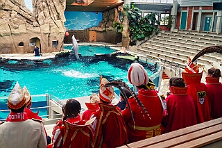Zoo Duisburg 2026-01-29 24  Ene Besuch em Zoo - Der Zoobesuch ist eine schöne Tradition für die amtierenden Tollitäten der Stadt. Diesmal  besuchten wir außer Kamel, Koala, Delphin und Co. auch die Zebras, wenn auch nicht Blau-Weiß gestreift. : DVPJ, Toni I, Jules I., Prinz Karneval, Prinz, Prinzessin Aileen I., Hofmarschälle, Page, Pagen, Paginnen, HDK, Duisburg, Karneval, Helau, Tollität, Event, Session 2025, Session 2025, HDK Duisburg, Hauptausschuss, Hauptausschuss Karneval Duisburg, Duisburg ist echt