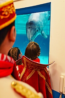 Zoo Duisburg 2026-01-29 25  Ene Besuch em Zoo - Der Zoobesuch ist eine schöne Tradition für die amtierenden Tollitäten der Stadt. Diesmal  besuchten wir außer Kamel, Koala, Delphin und Co. auch die Zebras, wenn auch nicht Blau-Weiß gestreift. : DVPJ, Toni I, Jules I., Prinz Karneval, Prinz, Prinzessin Aileen I., Hofmarschälle, Page, Pagen, Paginnen, HDK, Duisburg, Karneval, Helau, Tollität, Event, Session 2025, Session 2025, HDK Duisburg, Hauptausschuss, Hauptausschuss Karneval Duisburg, Duisburg ist echt