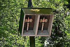 01 Schuetzen MuendelHEhinge 2026- 05-23 01  Schützenfeste in DU-SÜD - Pfingstsamstag 2026. Bei strahlendem Sonnenschein besuchten wir das Königs- und Prinzenschießen der St. Sebastianus Schützenbruderschaft Mündelheim / Ehingen 1712 e.V. im Ehinger Wäldchen. Danach waren wir dann Gäste auf der Schützenparty der St. Hubertus Schützenbruderschaft 1911 e.V. in Großenbaum. : DVPJ, Toni I, Jules I., Prinz Karneval, Prinz, Prinzessin Aileen I., Hofmarschälle, Page, Pagen, Paginnen, HDK, Duisburg, Karneval, Helau, Tollität, Event, Session 2025, Session 2025, HDK Duisburg, Hauptausschuss, Hauptausschuss Karneval Duisburg, Duisburg ist echt